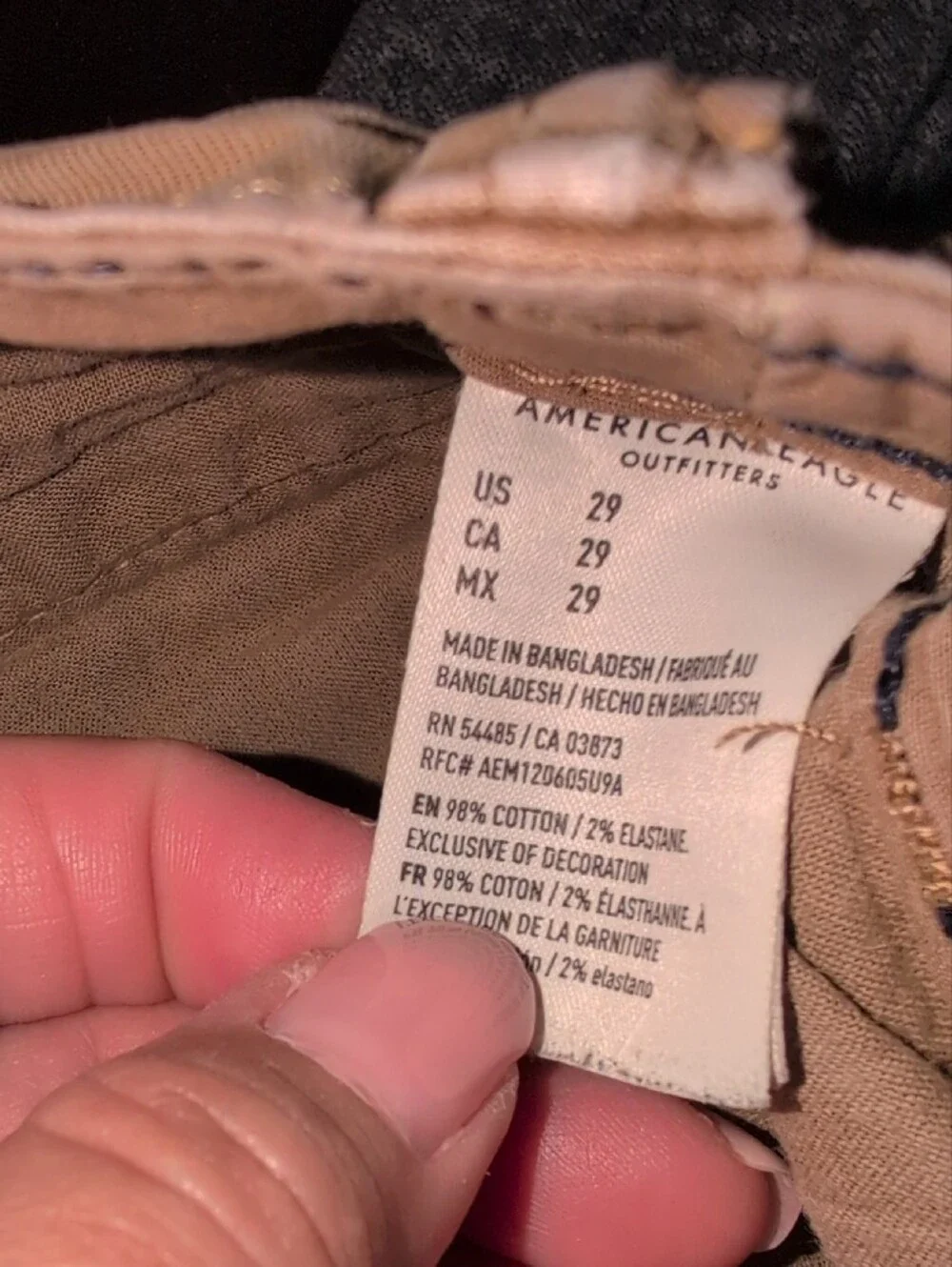 American Eagle Outfitters flat front